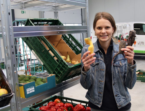 Kistenweise Bio: Wilma & Willi liefert regionale Lebensmittel frei Haus