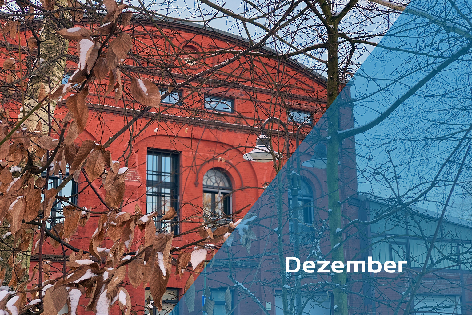 Newsletter Dezember 2025