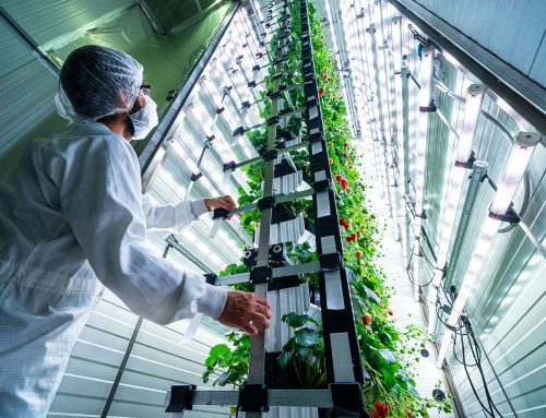 Erfolgreiche Finanzierungsrunde: vGreens startet globalen Rollout