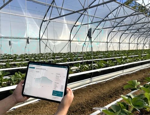 Erfolgreiche Finanzierungsrunde: vGreens startet globalen Rollout